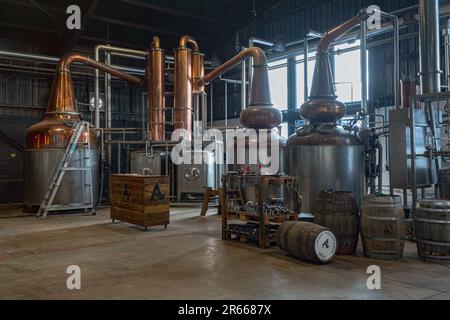 Arbikie Highland Estate Distillery, Highlands, Montrose, Schottland Stockfoto