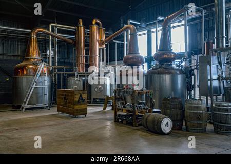 Arbikie Highland Estate Distillery, Highlands, Montrose, Schottland Stockfoto