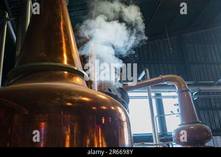 Arbikie Highland Estate Distillery, Highlands, Montrose, Schottland Stockfoto