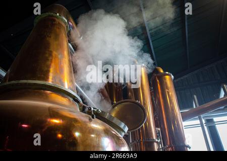 Arbikie Highland Estate Distillery, Highlands, Montrose, Schottland Stockfoto