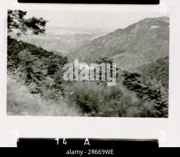 SS-Fotograf Bergmann, Johannes, Leibstandarte Adolf Hitler, Frankreich 1940 Bivouac und tägliche Feldaktivitäten; deutsche Gräber; mit Flüchtlingen trainieren; Infanterie marschieren; französische Truppen und Kriegsgefangene aufgeben; kleine und große Flugabwehreinheit; französischer Flugplatz mit Kampfflugzeugen besetzt; französisches Stabfahrzeug mit Papieren und Karten gefangen; Zeremonie mit Sepp Dietrich, Fotos von einzelnen Auszeichnern und Mitgliedern der Einheit, Aktivitäten nach dem Waffenstillstand, wie z. B. Fahrzeugwartung, Entspannung der Einheitenmitglieder, körperliches Training der Einheit und andere alltägliche Aufgaben, Landschaftsaufnahmen o Stockfoto