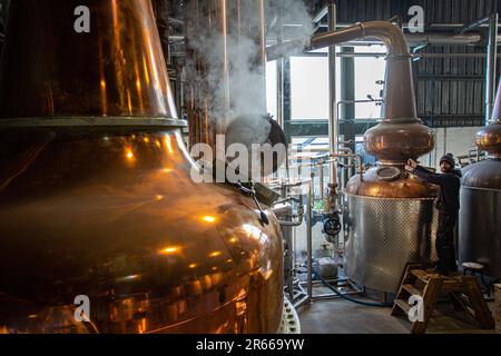 Arbikie Highland Estate Distillery, Highlands, Montrose, Schottland Stockfoto