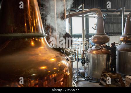 Arbikie Highland Estate Distillery, Highlands, Montrose, Schottland Stockfoto
