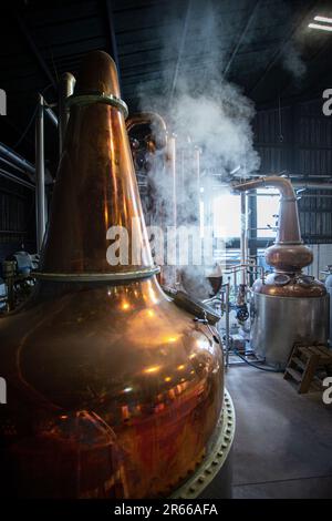 Arbikie Highland Estate Distillery, Highlands, Montrose, Schottland Stockfoto