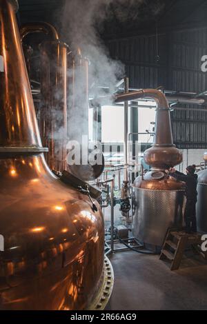Arbikie Highland Estate Distillery, Highlands, Montrose, Schottland Stockfoto