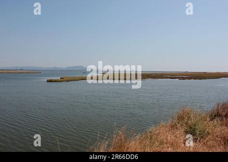 Delta Evros Nationalpark, Evros Thraki Griechenland Stockfoto