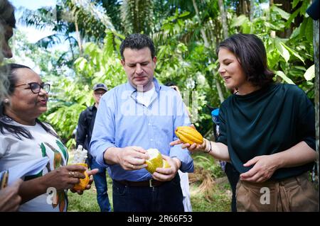 Ilha Do Combu, Brasilien. 07. Juni 2023. Annalena Baerbock (r, Bündnis 90/die Grünen), Außenministerin, und Hubertus Heil (M, SPD), Ministerin für Arbeit und Soziales, halten Kakaofrucht, während sie sich mit Vertretern lokaler Kakaogenossenschaften und Frauenorganisationen im Regenwald auf der Insel Combu (Ilha do Combu) in der Nähe von Belem in Brasilien trifft. In der nordbrasilianischen Stadt Belem liegt der Schwerpunkt auf Klima- und Umweltfragen. Kredit: Annette Riedl/dpa/Alamy Live News Stockfoto