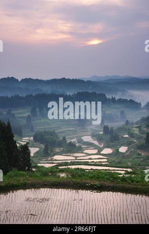 Hoshitoge Reisterrassen am Morgen Stockfoto