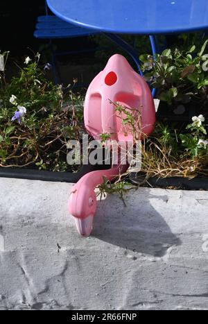 Gießkanne aus Kunststoff in Form eines Flamingos Stockfoto