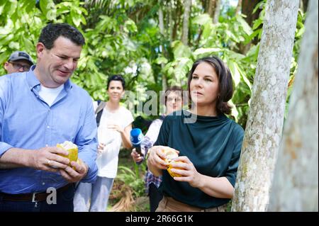 Ilha Do Combu, Brasilien. 07. Juni 2023. Annalena Baerbock (r, Bündnis 90/die Grünen), Außenministerin, und Hubertus Heil (l, SPD), Ministerin für Arbeit und Soziales, halten Kakaofrucht, während sie sich mit Vertretern lokaler Kakaogenossenschaften und Frauenorganisationen im Regenwald auf der Insel Combu (Ilha do Combu) in der Nähe von Belem in Brasilien trifft. In der nordbrasilianischen Stadt Belem liegt der Schwerpunkt auf Klima- und Umweltfragen. Kredit: Annette Riedl/dpa/Alamy Live News Stockfoto