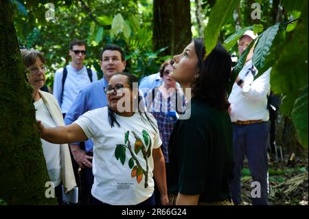 Ilha Do Combu, Brasilien. 07. Juni 2023. Die Außenministerin Annalena Baerbock (r, Bündnis 90/die Grünen) und die Arbeits- und Sozialministerin Hubertus Heil (m Back, SPD) besuchen den Regenwald auf der Insel Combu (Ilha do Combu) bei Belem, Brasilien, während sie mit Vertretern lokaler Initiativen spricht. In der nordbrasilianischen Stadt Belem liegt der Schwerpunkt auf Klima- und Umweltfragen. Kredit: Annette Riedl/dpa/Alamy Live News Stockfoto