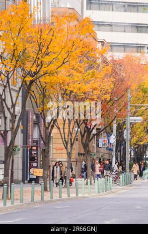 Straßenlandschaft von Kobe Kyu-kokichi Stockfoto