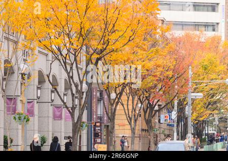 Straßenlandschaft von Kobe Kyu-kokichi Stockfoto