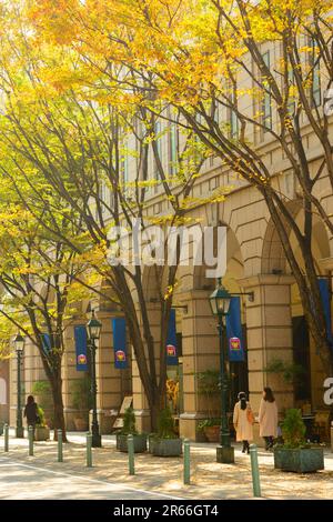 Straßenlandschaft von Kobe Kyu-kokichi Stockfoto