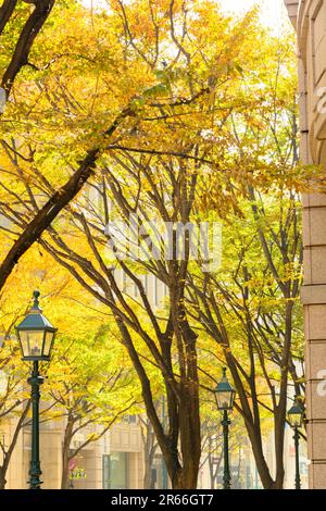 Straßenlandschaft von Kobe Kyu-kokichi Stockfoto