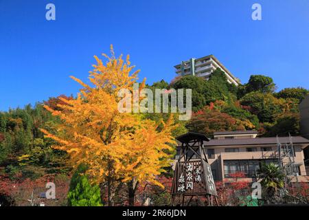 Herbstlaub in Arima Onsen Stockfoto