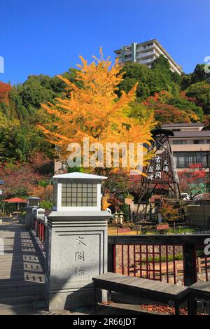 Herbstlaub in Arima Onsen Stockfoto