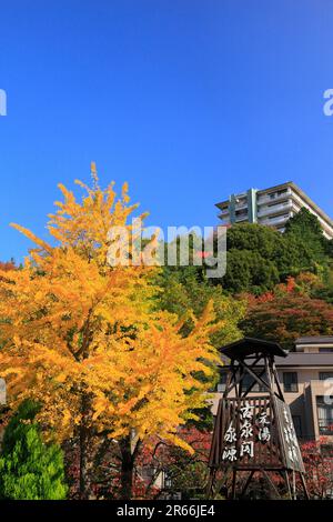 Herbstlaub in Arima Onsen Stockfoto