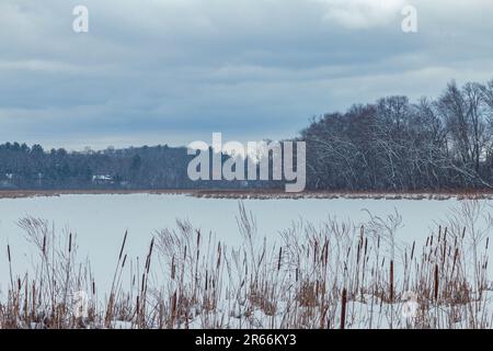 Wanderwege im Great Meadows Wildlife Preserve im Winter, Concord, Massachusetts Stockfoto