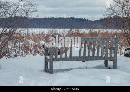 Wanderwege im Great Meadows Wildlife Preserve im Winter, Concord, Massachusetts Stockfoto