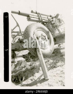 SS-Fotograf Blaurock, Frankreich, Finnland 1942-44 SS Soldier Porträtfotos, im November 1942 von der französischen Flotte in Toulon gesunkene, russische Flugabwehrwaffe, Gebirgsjäger Regiment 11 „Reinhard Heydrich“ im Feldtraining, tägliche und Freizeitaktivitäten, Parade, Aktivitäten, schwere Artillerie Stockfoto