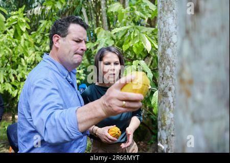 Ilha Do Combu, Brasilien. 07. Juni 2023. Annalena Baerbock (r, Bündnis 90/die Grünen), Außenministerin, und Hubertus Heil (SPD), Ministerin für Arbeit und Soziales, knacken im Regenwald eine Kakaofrucht. Kredit: Annette Riedl/dpa/Alamy Live News Stockfoto