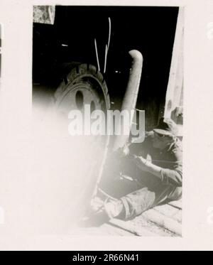 SS-Fotograf Blaurock, Frankreich, Finnland 1942-44 SS Soldier Porträtfotos, im November 1942 von der französischen Flotte in Toulon gesunkene, russische Flugabwehrwaffe, Gebirgsjäger Regiment 11 „Reinhard Heydrich“ im Feldtraining, tägliche und Freizeitaktivitäten, Parade, Aktivitäten, schwere Artillerie Stockfoto
