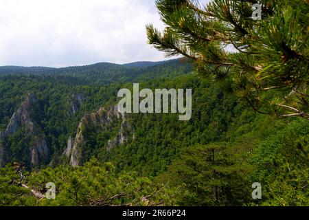 Bewundern Sie die majestätischen Berggipfel und tauchen Sie ein in die ruhige Pracht der unberührten Natur. Von diesem malerischen Aussichtspunkt aus werden Sie Zeuge der Harmoniestreben Stockfoto