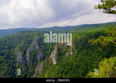 Bewundern Sie die majestätischen Berggipfel und tauchen Sie ein in die ruhige Pracht der unberührten Natur. Von diesem malerischen Aussichtspunkt aus werden Sie Zeuge der Harmoniestreben Stockfoto