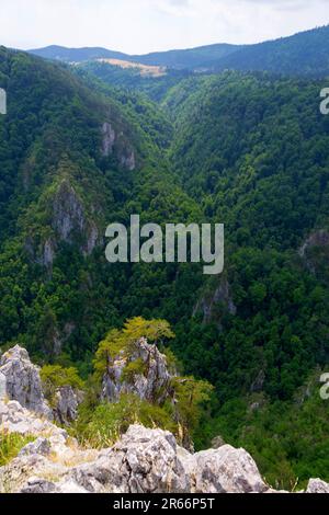 Bewundern Sie die majestätischen Berggipfel und tauchen Sie ein in die ruhige Pracht der unberührten Natur. Von diesem malerischen Aussichtspunkt aus werden Sie Zeuge der Harmoniestreben Stockfoto