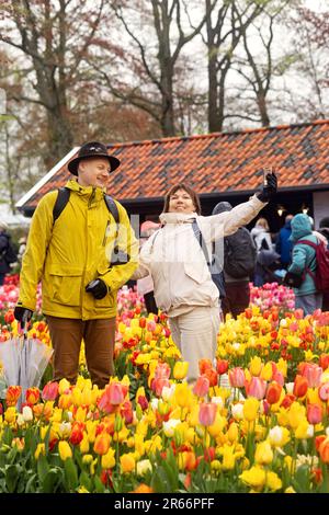 Ein Mann mittleren Alters und eine Frau werden im Keukenhof Park vor dem Hintergrund gelber, roter und weißer Tulpen fotografiert Stockfoto