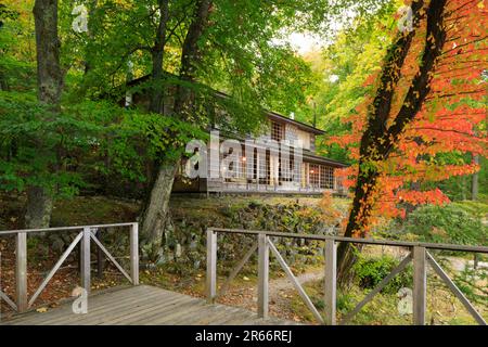 Italienischer Botschaftsvilla Memorial Park im Herbst Stockfoto