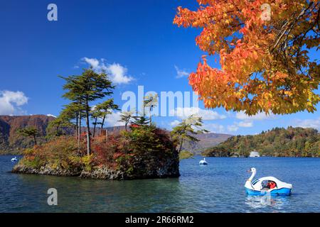 Towada-See und Schwanenboote im Herbst Stockfoto