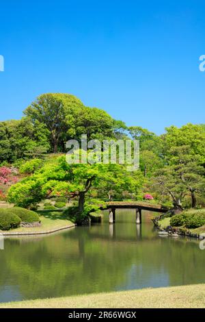 Rikugien in frischem Grün Stockfoto