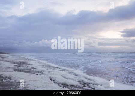 Meeresschaum entlang der Surflinie am Sandstrand der Nordsee bei Sonnenuntergang an einem windigen Abend Stockfoto