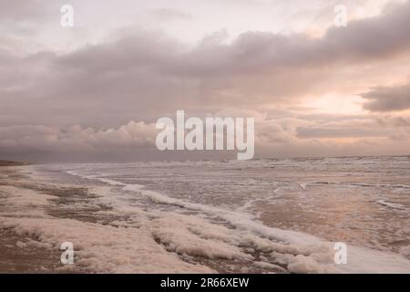 Meeresschaum entlang der Surflinie am Sandstrand der Nordsee bei Sonnenuntergang an einem windigen Abend Stockfoto