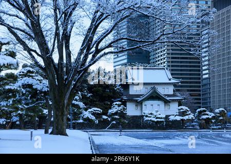 Verschneiter Blick auf das Schloss Edo Stockfoto