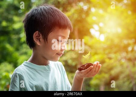 Die Hände des kleinen Jungen halten einen kleinen Baum. Asiatischer Junge, der einen Setzling in der Hand hält. Der Junge lächelt und starrt den kleinen Baum in seiner Hand an Stockfoto