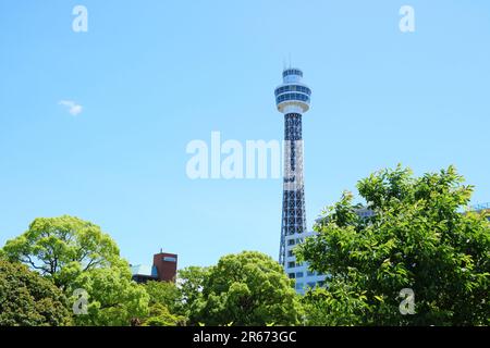 Yokohama Marine Tower vom Yamashita Park aus gesehen Stockfoto