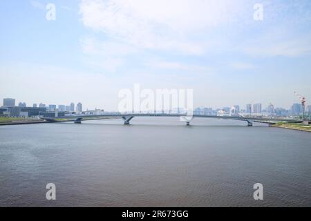 Toyosu-Markt und Regenbogenbrücke Stockfoto