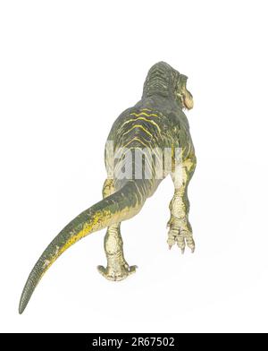 tyrannosaurus rex läuft wie ein König im weißen Hintergrund, obere Rückansicht, 3D-Abbildung Stockfoto