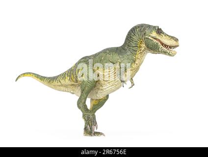 tyrannosaurus rex läuft wie ein König im weißen Hintergrund, 3D-Darstellung Stockfoto