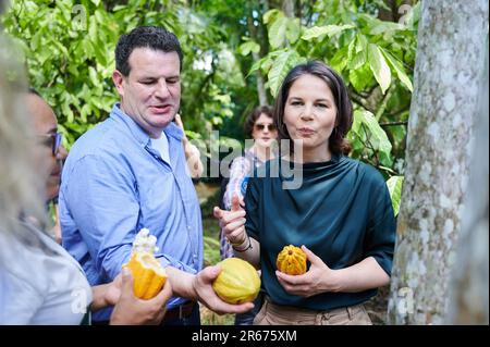 Ilha Do Combu, Brasilien. 07. Juni 2023. Annalena Baerbock (r, Bündnis 90/die Grünen), Außenministerin, und Hubertus Heil (M, SPD), Ministerin für Arbeit und Soziales, halten Kakaofrucht, während sie sich mit Vertretern lokaler Kakaogenossenschaften und Frauenorganisationen im Regenwald auf der Insel Combu (Ilha do Combu) bei Belem trifft. In der nordbrasilianischen Stadt Belem liegt der Schwerpunkt auf Klima- und Umweltfragen. Kredit: Annette Riedl/dpa/Alamy Live News Stockfoto