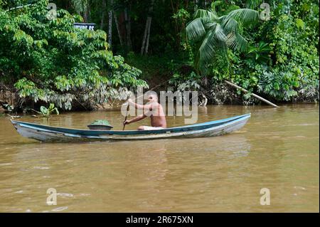 Ilha Do Combu, Brasilien. 07. Juni 2023. Ein Mann rudert ein Boot an der Mündung des Rio Guama in der Bucht von Marajo neben der Insel Combu (Ilha do Combu). Außenminister Baerbock und Arbeitsminister Heil besuchten den Regenwald in Brasilien. Kredit: Annette Riedl/dpa/Alamy Live News Stockfoto