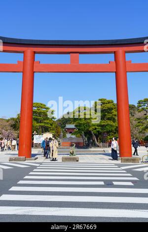 Tsuruoka-Hachimangu-Schrein, drittes Torii-Tor und blauer Himmel Stockfoto