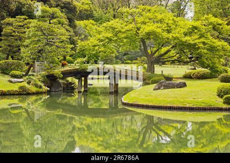 Rikugien in frischem Grün Stockfoto