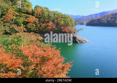 Kuzuryu-See im Herbst Stockfoto