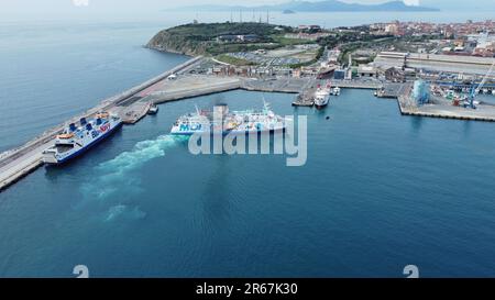 Moby Lines Fähre MS Moby Kiss, die im Hafen Piombino, Italien, anlegt, um Routen nach Korsika oder Elba zu nehmen. Das Schiff ist mit Looney Tunes-Cartoons vom 23. April bemalt Stockfoto