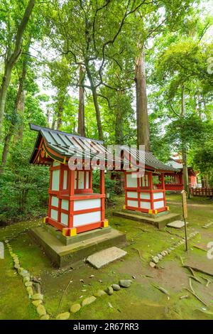 Katori-Jingu-Schrein in frischem Grün Stockfoto