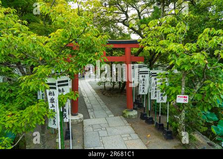 Tsurugaoka-Hachimangu-Schrein und Hatagami-Benzaiten-Schrein Stockfoto